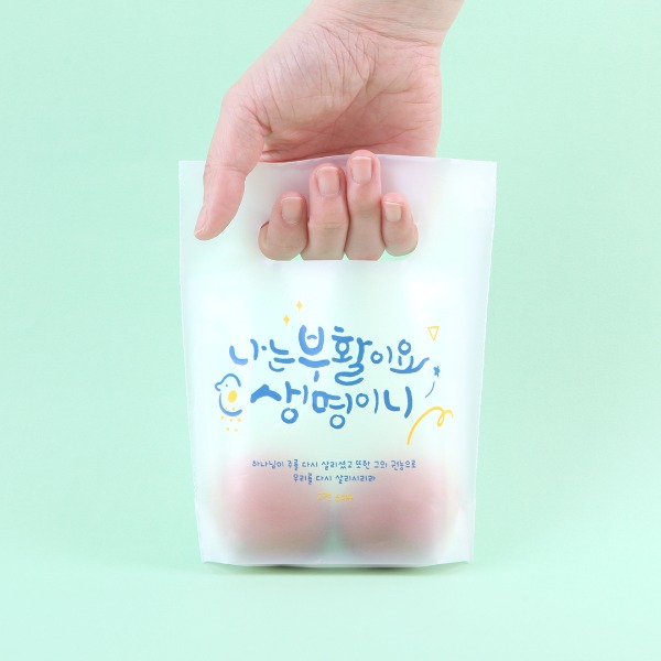 그레이스벨 부활절 2구 친환경 손잡이 비닐(10매) 블루1102